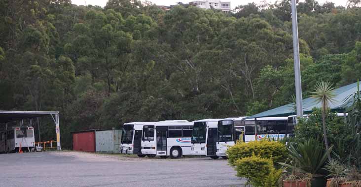 Koala Koaches depot